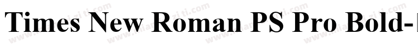 Times New Roman PS Pro Bold字体转换